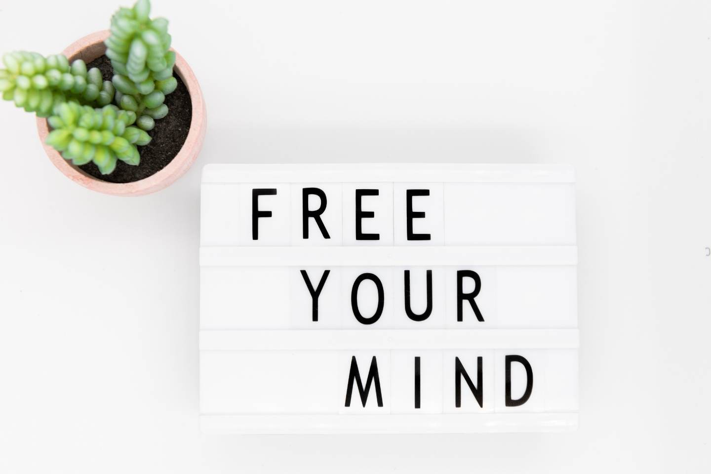 free your mind