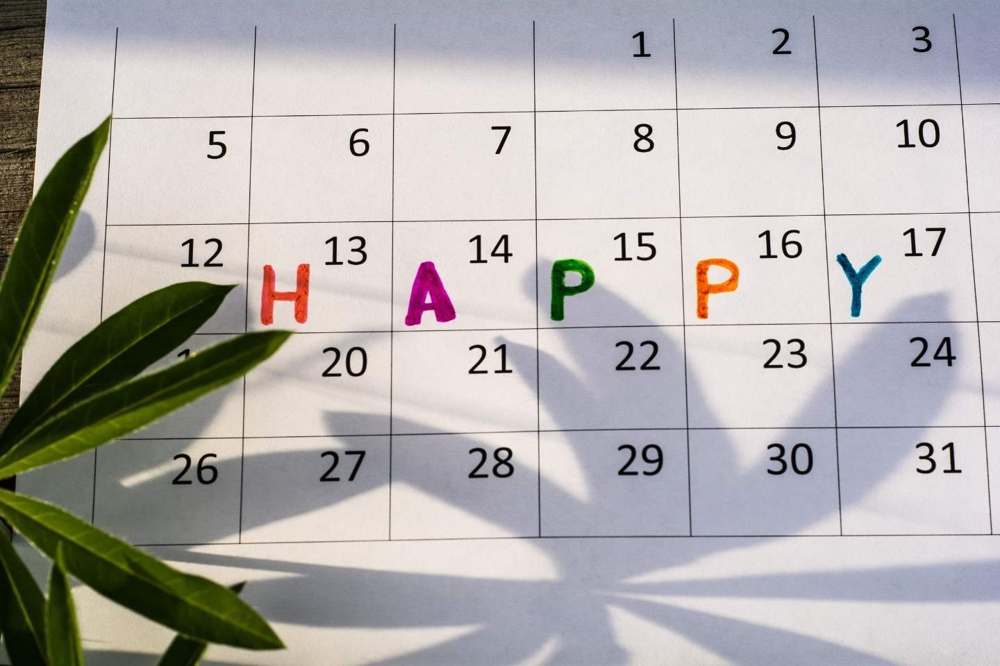 happy life