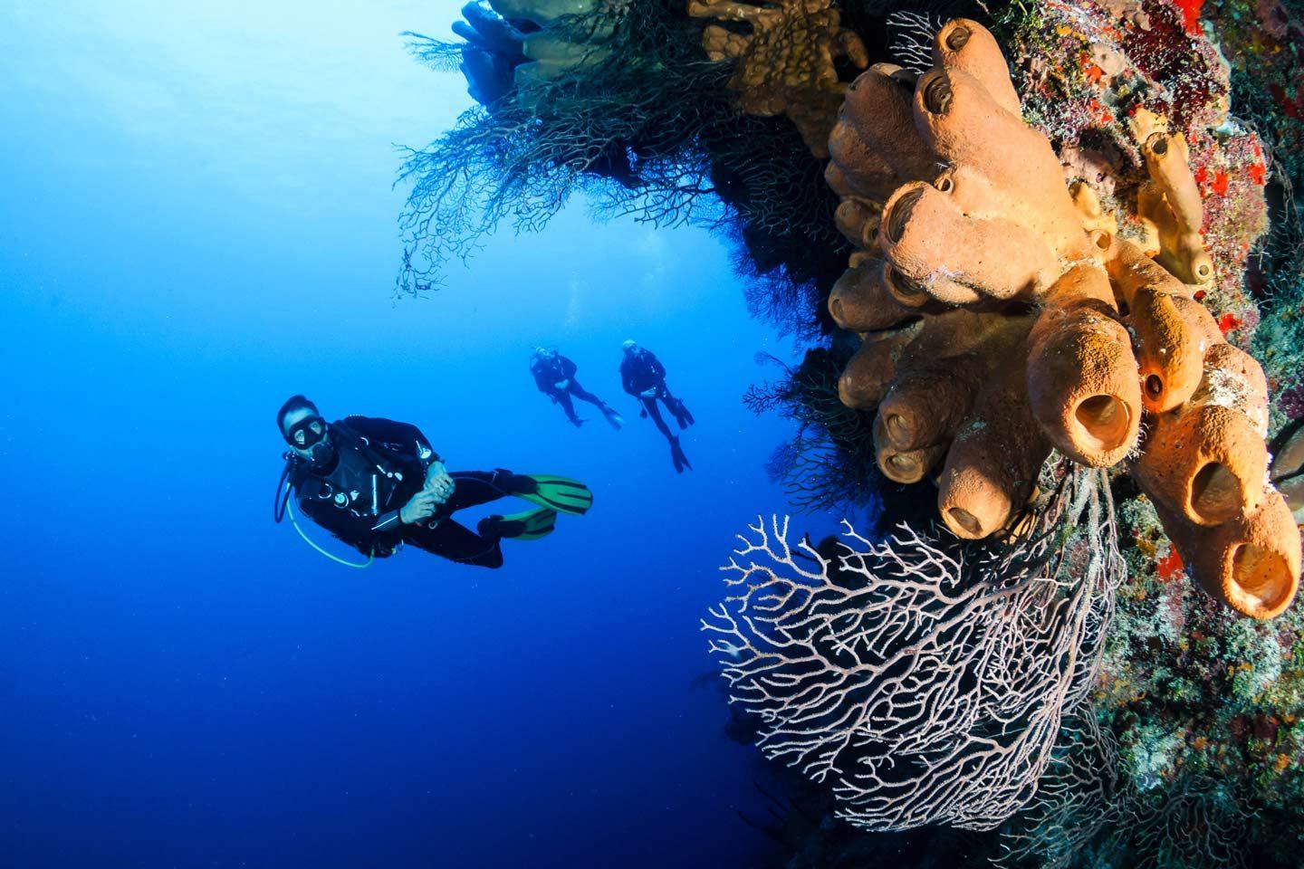 cozumel diving