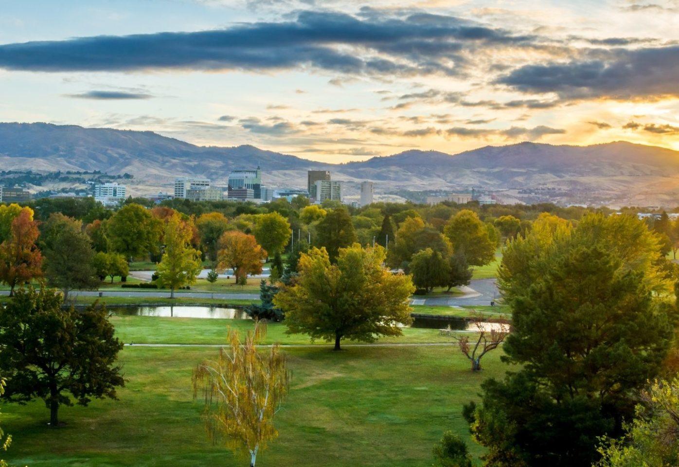 City of Tree Boise Idaho