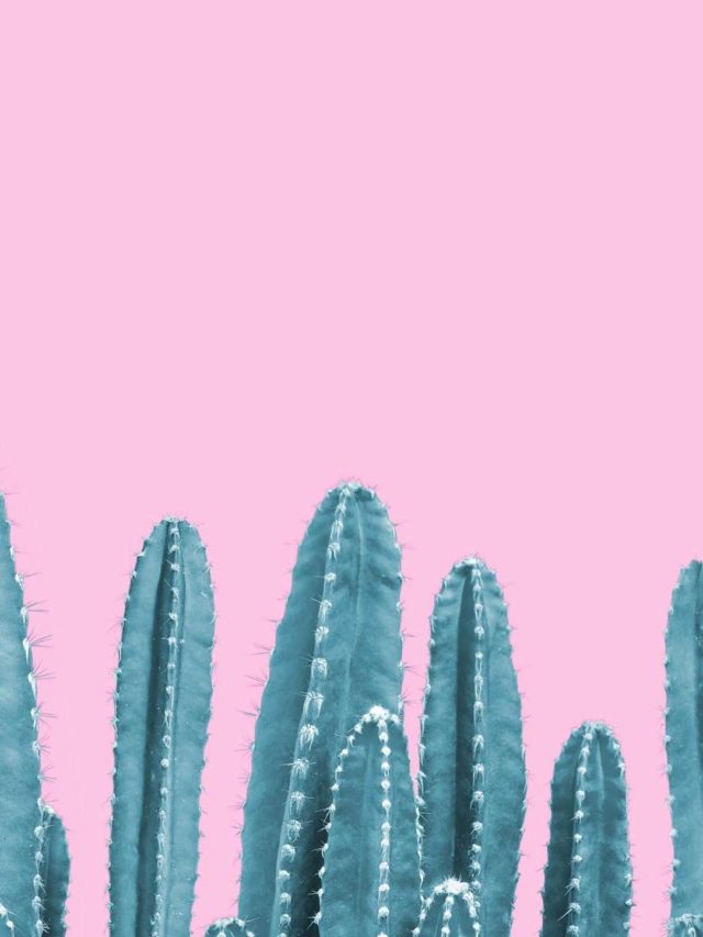 Best Airbnbs in Mexico
