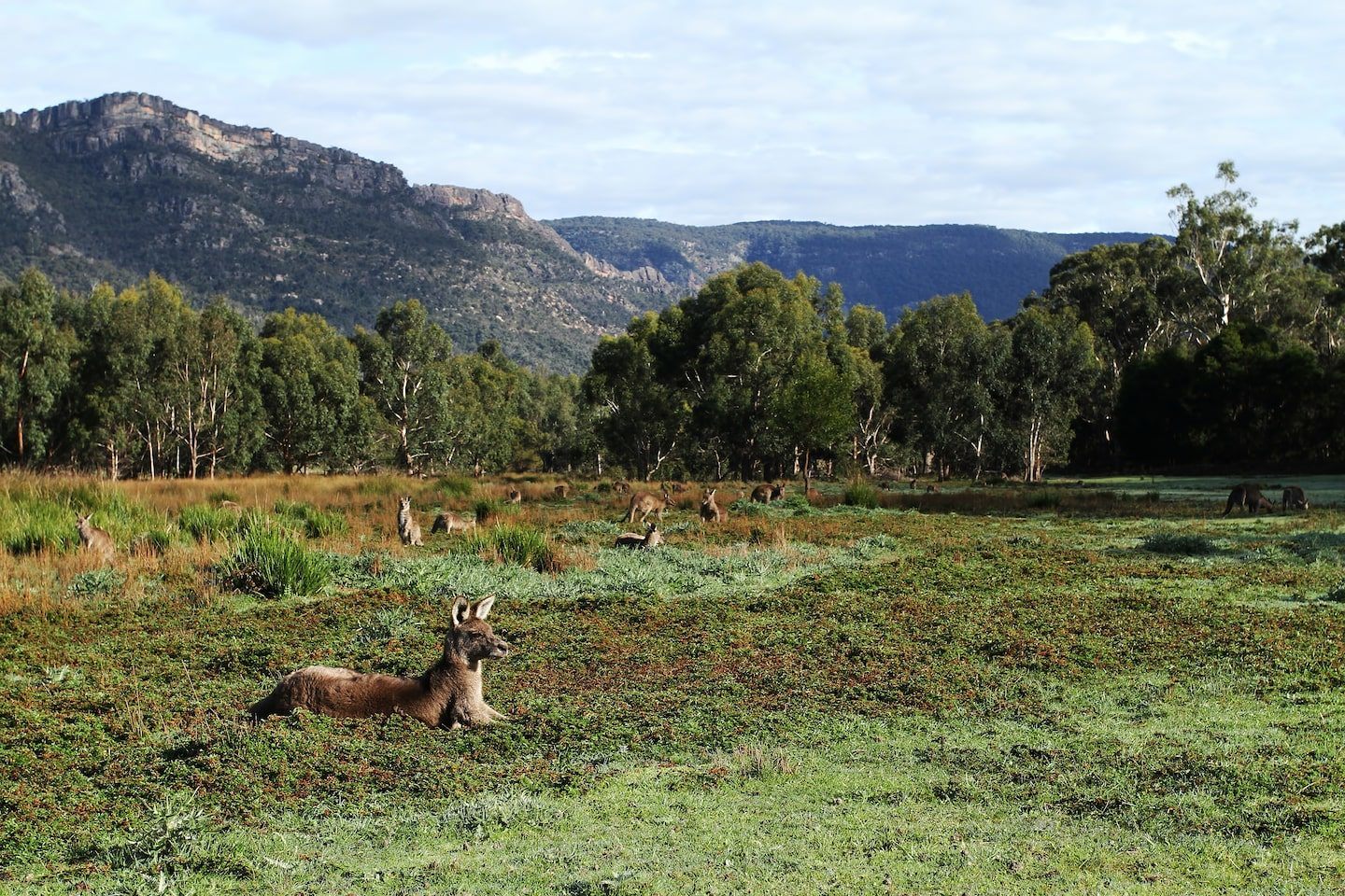 australia countryside