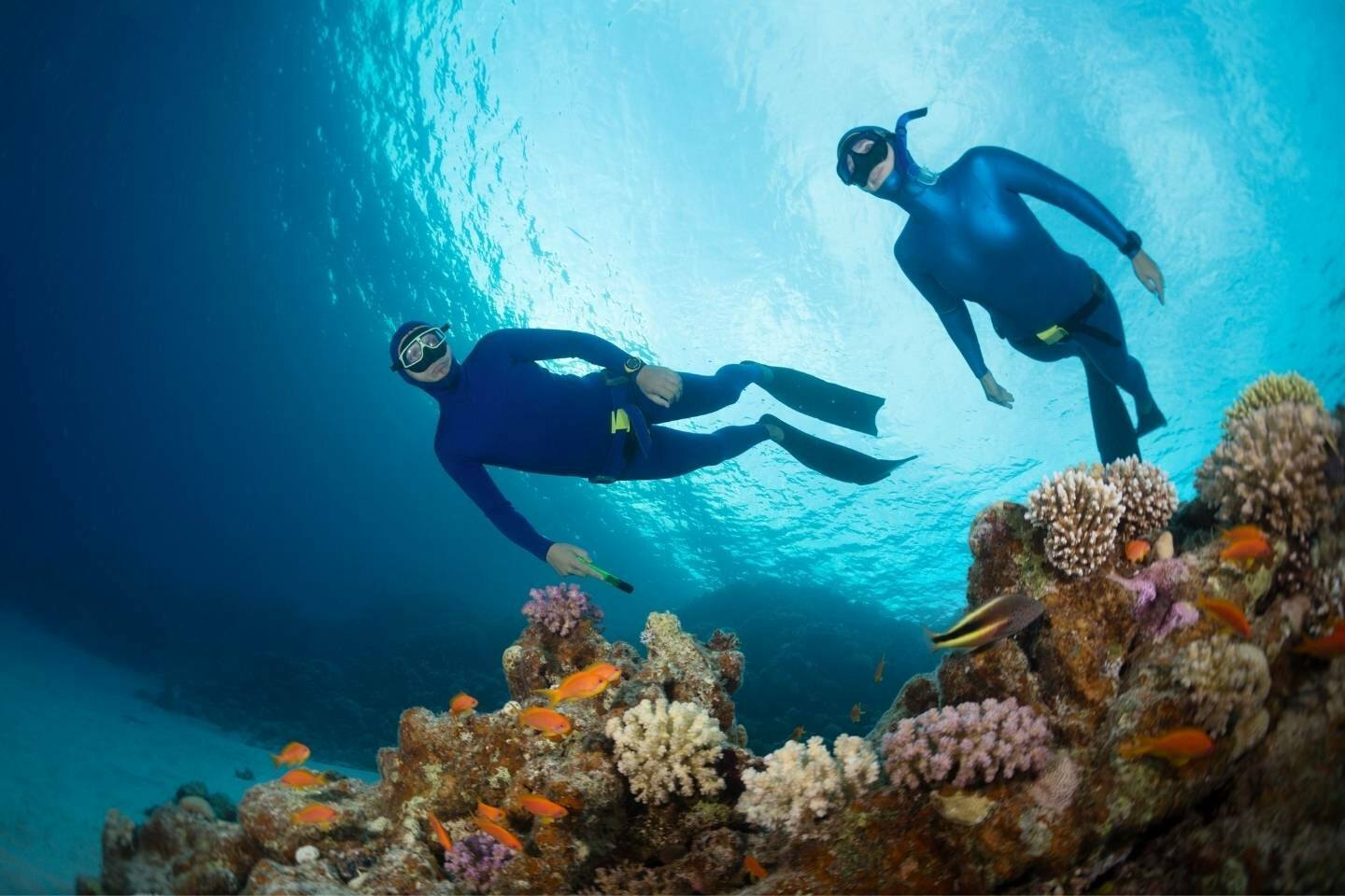 Two free divers swimming over vivid coral reef