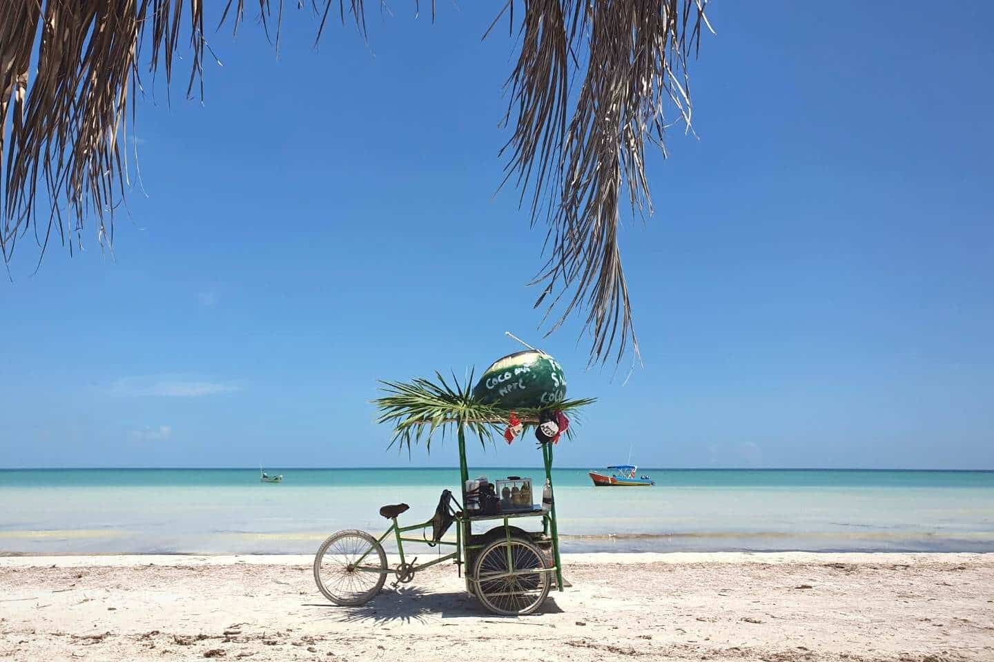Best Restaurants in Holbox