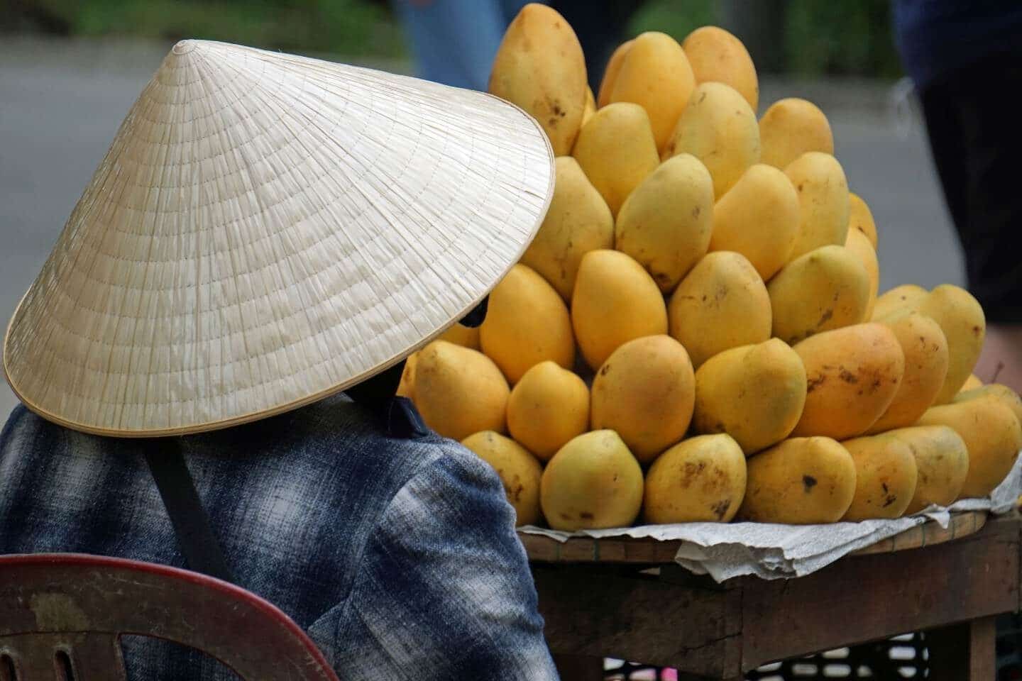 Thailand vs Vietnam