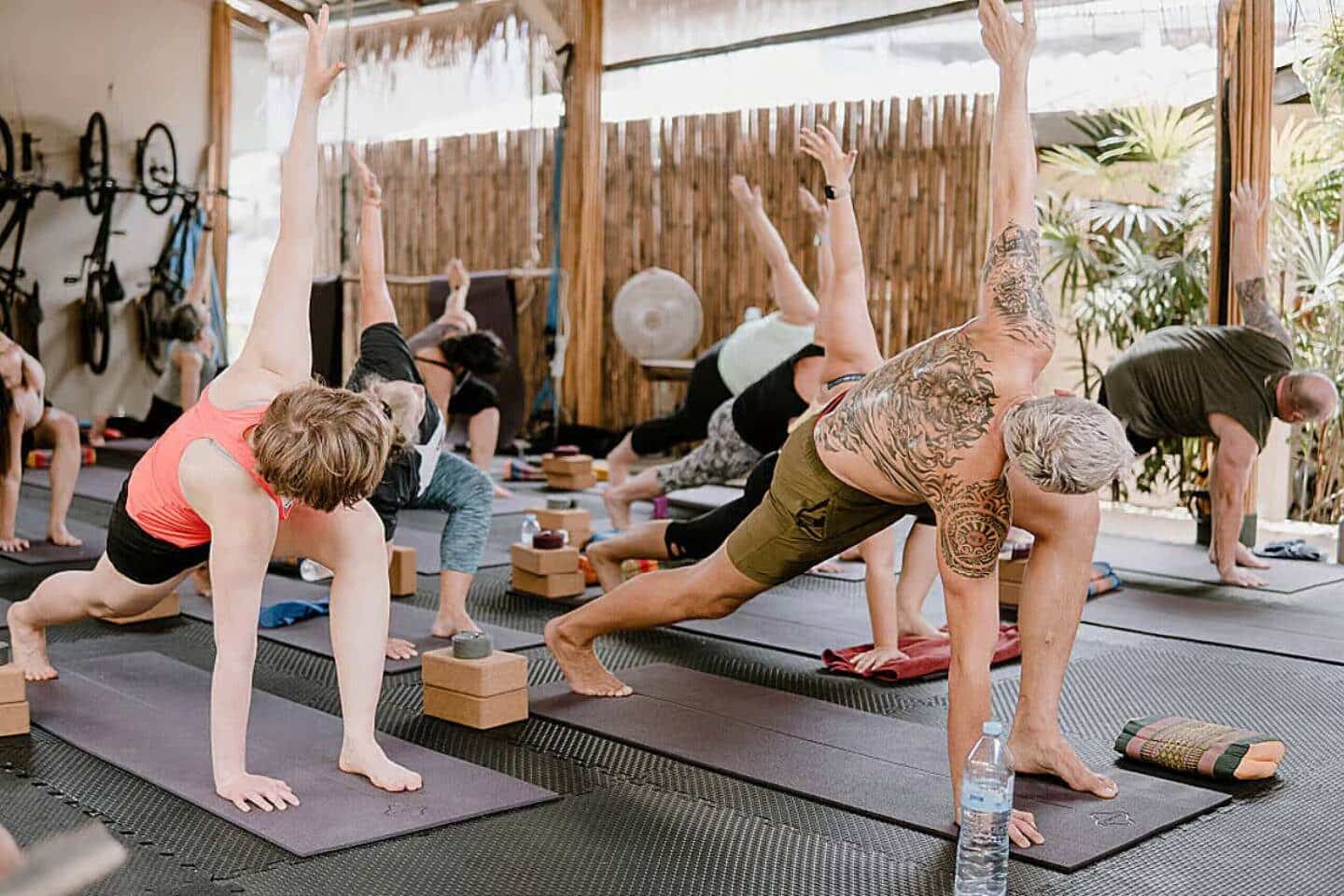 Natural Detox Program