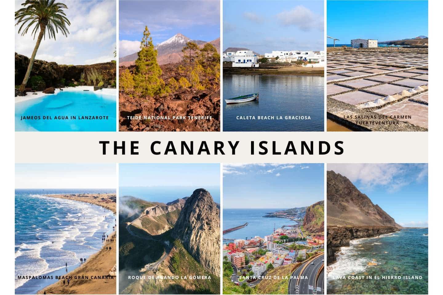 the Canary Islands