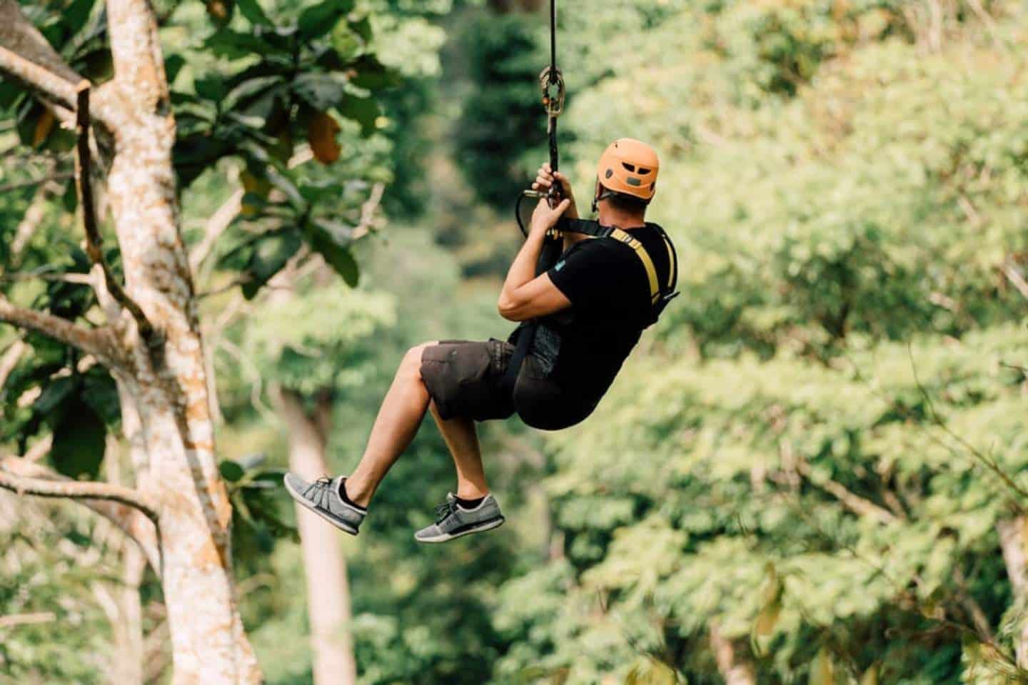 Paradise Jungle