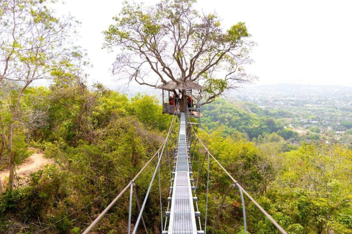 Zipline Foot Bridge in Phuket
